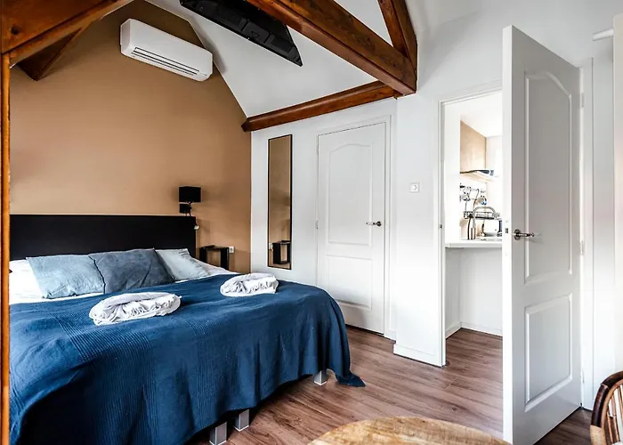 アパート 't Duinpannetje ザントフォールト