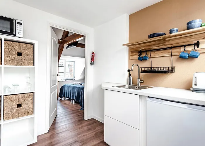 't Duinpannetje Apartment Zandvoort