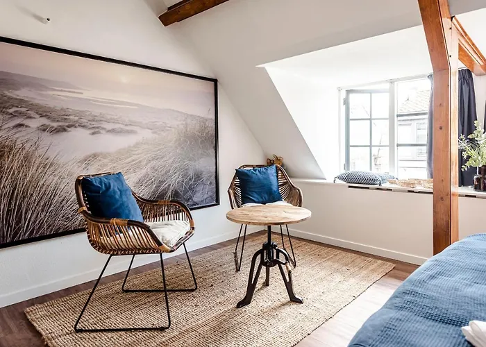 't Duinpannetje Apartment Zandvoort