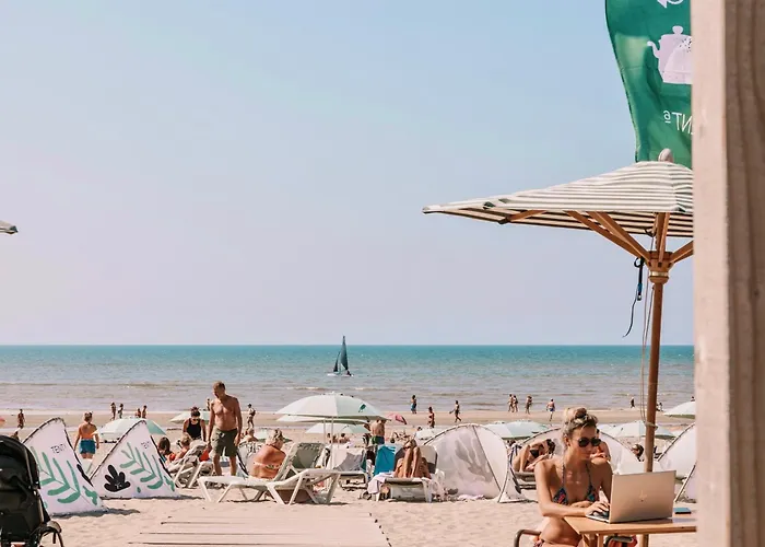 't Duinpannetje 公寓 *